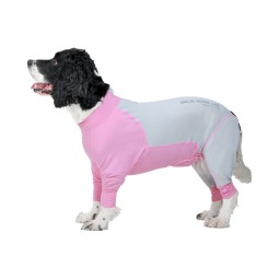 Pet Sunsuit Supplier - Modern Summer Cool Feeling Full Package