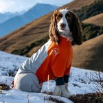 Dog Ski Suit Manufacturer - Luxury Padded Waterproof Windproof