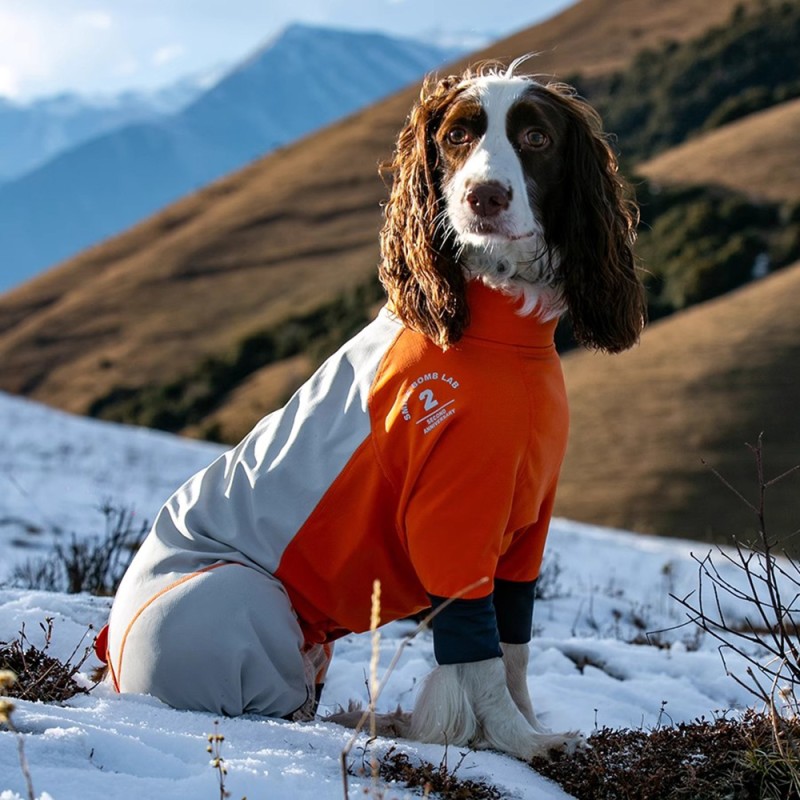 Dog Ski Suit Manufacturer - Luxury Padded Waterproof Windproof
