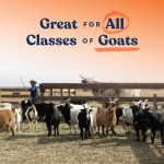 Pet Supplement Manufacturer - Mineral Growth Development Vitamins