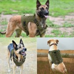Dog Harness Manufacturer - Wholesale Molle System No Pull