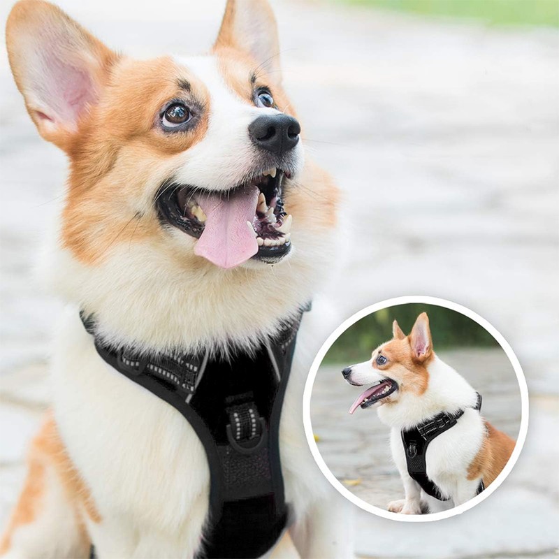 Dog Harness Factory - Custom 900D Nylon Tactical Training