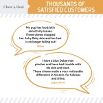 Dog Soft Chew Supplier - Fish Oil Health Care Bottles