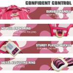 Dog Harness Set Factory - Oxford Solid Print Mesh Neoprene