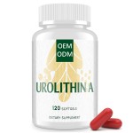 GABA 5-HTP Liquid Drops Manufacturer - Private Label Ultra-Potent Raspberry Flavored Magnesium