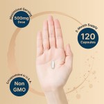 Citicoline Supplement Manufacturer - Brain Health CDP-Choline Capsules Not for Pregnant
