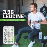 BCAA Energy Supplement Manufacturer - Private Label OEM Creatine Citrulline Beta-Alanine