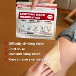 Pain Relief Patch Supplier - Wholesale OEM ODM Chinese Herbal Knee Back Pain Low-Price