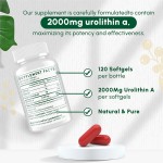 GABA 5-HTP Liquid Drops Manufacturer - Private Label Ultra-Potent Raspberry Flavored Magnesium