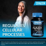 Men Fertility Capsules Supplier - OEM Customization Prebiotics Hard Enhanced Energy Ginseng