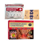 Pain Relief Patch Supplier - Wholesale OEM ODM Chinese Herbal Knee Back Pain Low-Price