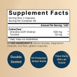 Brain Supplement Capsules Manufacturer - Private Label 120 Capsules CDP Choline Tyrosine