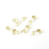 Guangdong Yangchun Xinde Biotechnology Development Co., Ltd.
