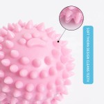 TPR Dog Toy Manufacturer - Chew Interactive Training Ball Biting Toys