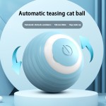 Pet Ball Toy Factory - Gravity Electric Automatic Bite-Resistant Rolling