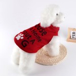 Pet Hoodies Supplier - Wholesale Sweatshirt Apparel Small Medium Large