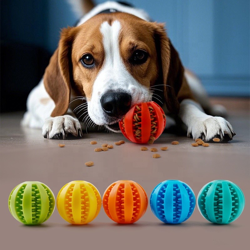 Dog Teething Toys Factory - Ball Food Feeder Chew Tooth Cleaning Toy