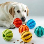 Dog Teething Toys Factory - Ball Food Feeder Chew Tooth Cleaning Toy