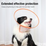 Pet Recovery Collar Factory - Anti-bite Adjustable Transparent Color Neck