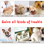 Pet Recovery Collar Supplier - Adjustable Candy Color Protective Collar