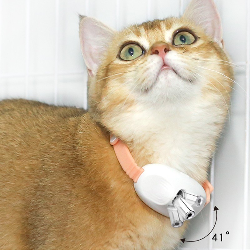 Pet Laser Collar Factory - 2 Color Rechargeable Interactive Smart Collar