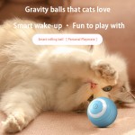 Smart Cat Ball Factory - Automatic Rolling Interactive Ball Wholesale