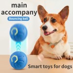 Pet Ball Supplier - Wholesale Gravity Electric Amusement Bouncing Ball