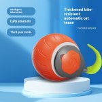 Cat Teasing Ball Manufacturer - Intelligent Automatic Moving Rolling Ball