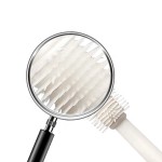 Pet Waste Bags Manufacturer - Biodegradable Disposable Plastic Poop Bags