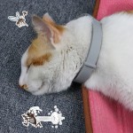 Dog Coat Factory - Reflective Waterproof Winter Warm Jacket Clothes Custom