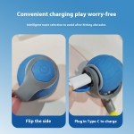 Interactive Cat Toys Factory - Smart Automatic Rolling Electric Ball with Feather