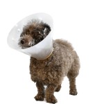 Dog Leash Supplier - Custom Print Nylon Automatic Retractable Training