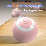 Automatic Cat Toy Supplier - Smart Colorful Rolling Ball Electric Interactive
