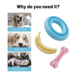 Dog Chew Toy Supplier - Bone Molar Stick Chew Durable Dog Toy Wholesale