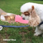 Pet Water Bottle Manufacturer - 550ML Outdoor Large Capacity Activated Carbon