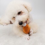 Dog Squeaky Toy Manufacturer - Funny Chicken Leg Shaped Plush Toy Wholesale