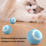 Cat Toy Ball Manufacturer - Gravity Electric Interactive Ball for Indoor