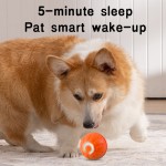 Smart Pet Ball Manufacturer - Interactive Automatic Molars Bite Resistant Ball