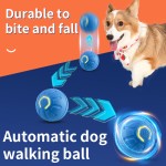 Pet Ball Supplier - Wholesale Gravity Electric Amusement Bouncing Ball