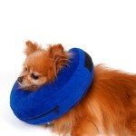 Pet Protective Cone Manufacturer - Soft PVC Recovery Collar Anti-bite
