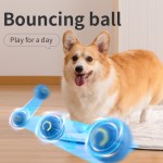Pet Ball Supplier - Wholesale Gravity Electric Amusement Bouncing Ball