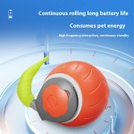 Interactive Cat Toys Factory - Smart Automatic Rolling Electric Ball with Feather