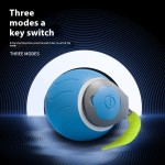 Cat Teasing Ball Manufacturer - Intelligent Automatic Moving Rolling Ball