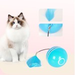 Smart Pet Toy Manufacturer - Self Rotating with LED Lights Automatic Ball