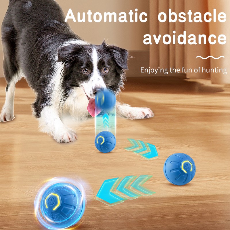 Smart Pet Ball Manufacturer - Interactive Automatic Molars Bite Resistant Ball