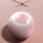 Cat Toy Ball Manufacturer - Gravity Electric Interactive Ball for Indoor
