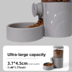 Elevated Dog Bowl Factory - Raised Food Water Bowl Double Feeding Set