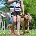 Pet Training Bag Manufacturer - Portable Foldable Snack Waist Bag Outdoor