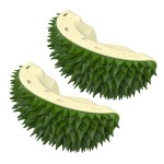 Cat Self Groomer Supplier - Face Scratcher Wall Corner Massage Comb