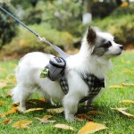 Pet Training Bag Factory - Poop Bag with Snack Storage Outdoor Travel